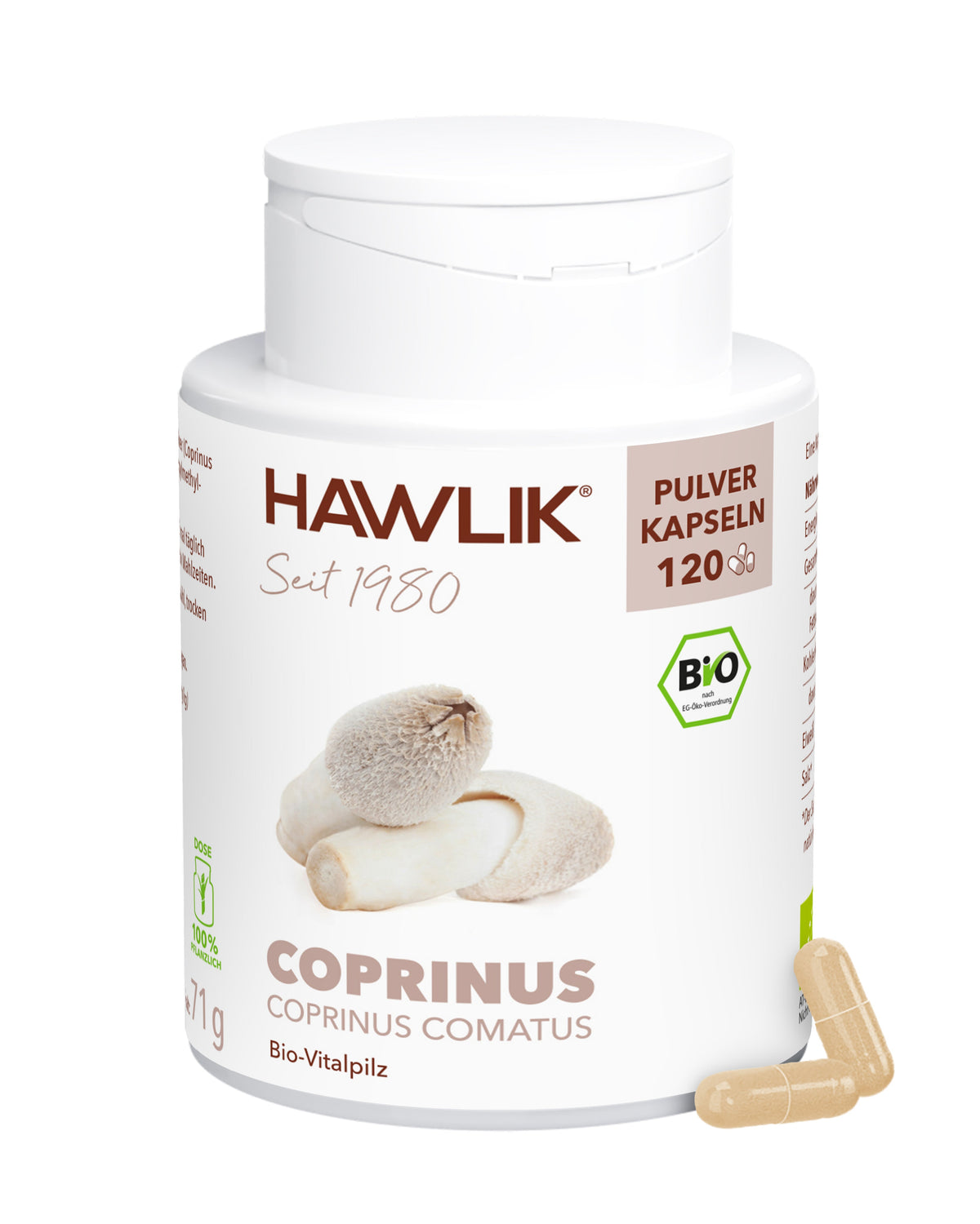 Organic Coprinus Powder Capsules