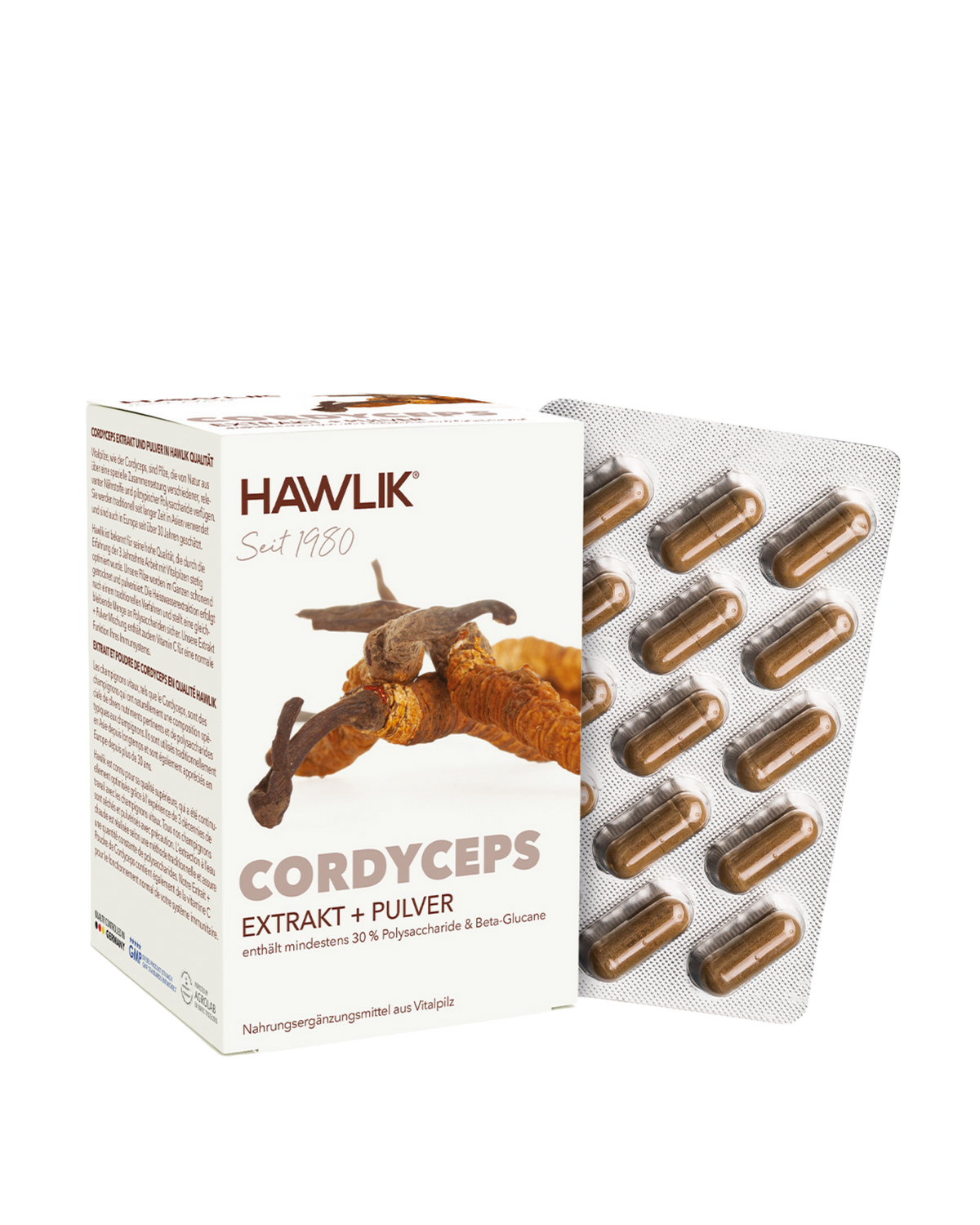 Cordyceps Extrakt + Pulver Kapseln