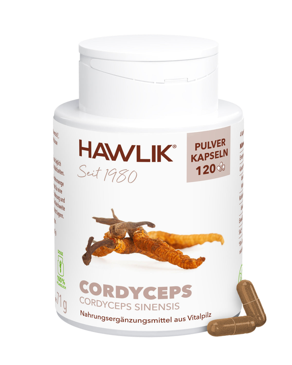 Cordyceps Pulver Kapseln