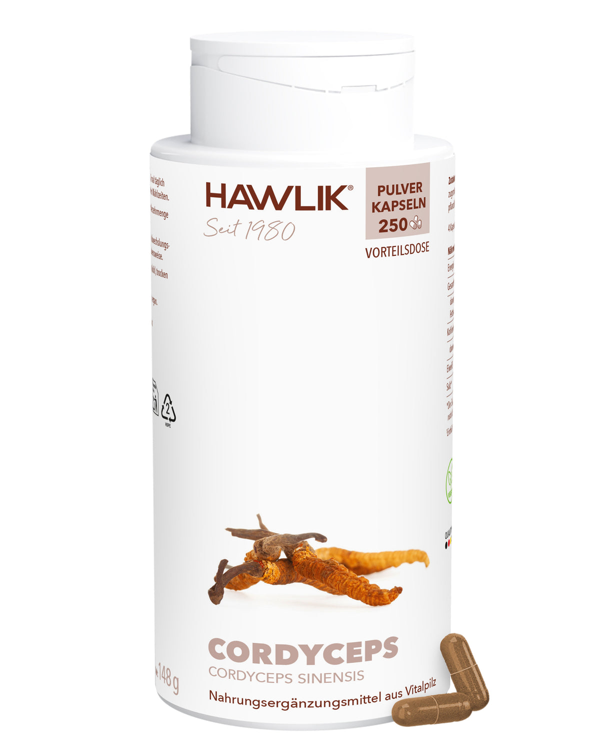 Cordyceps Pulver Kapseln