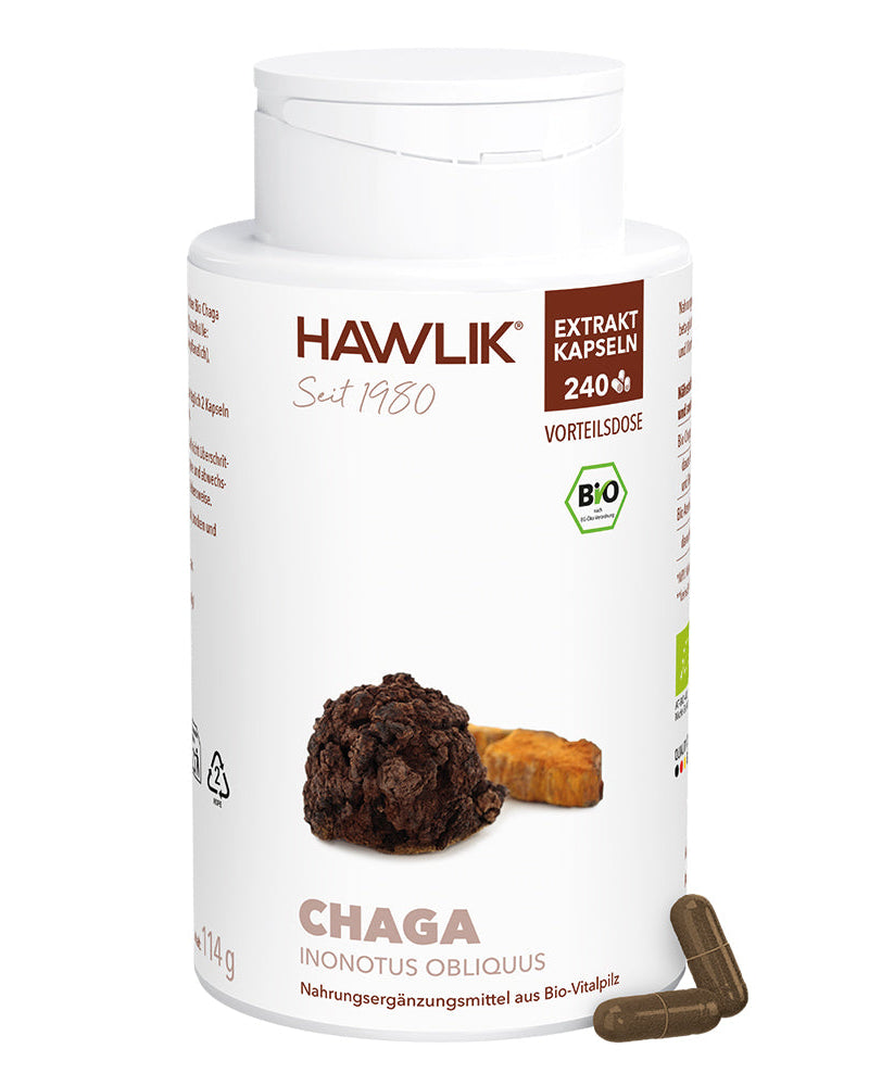 BIO Chaga Extrakt Kapseln