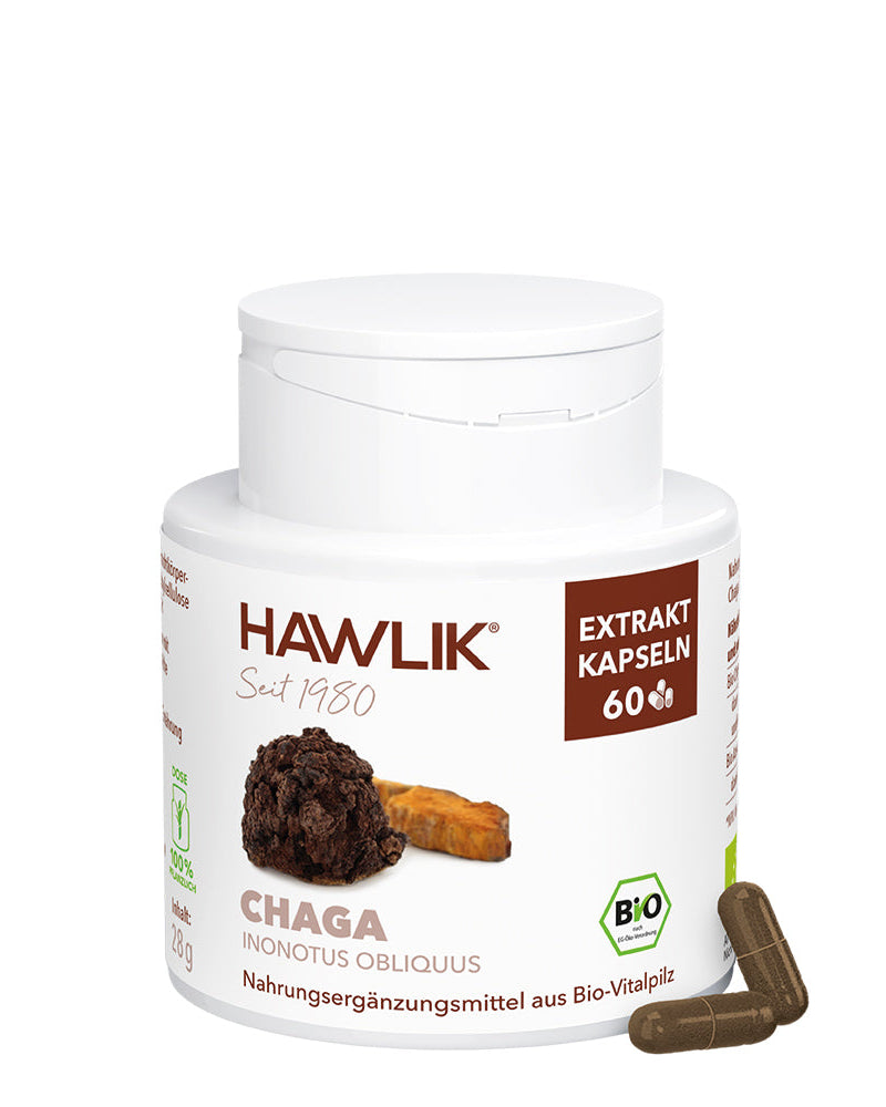 BIO Chaga Extrakt Kapseln