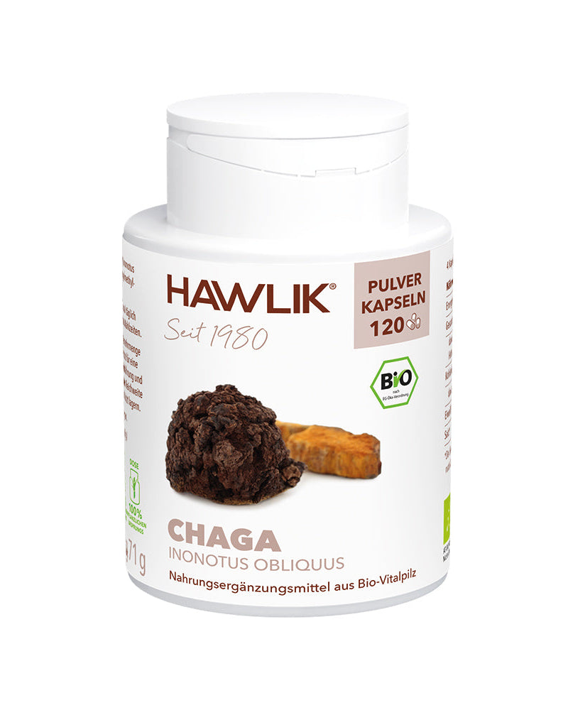 Gélules de poudre de Chaga BIO