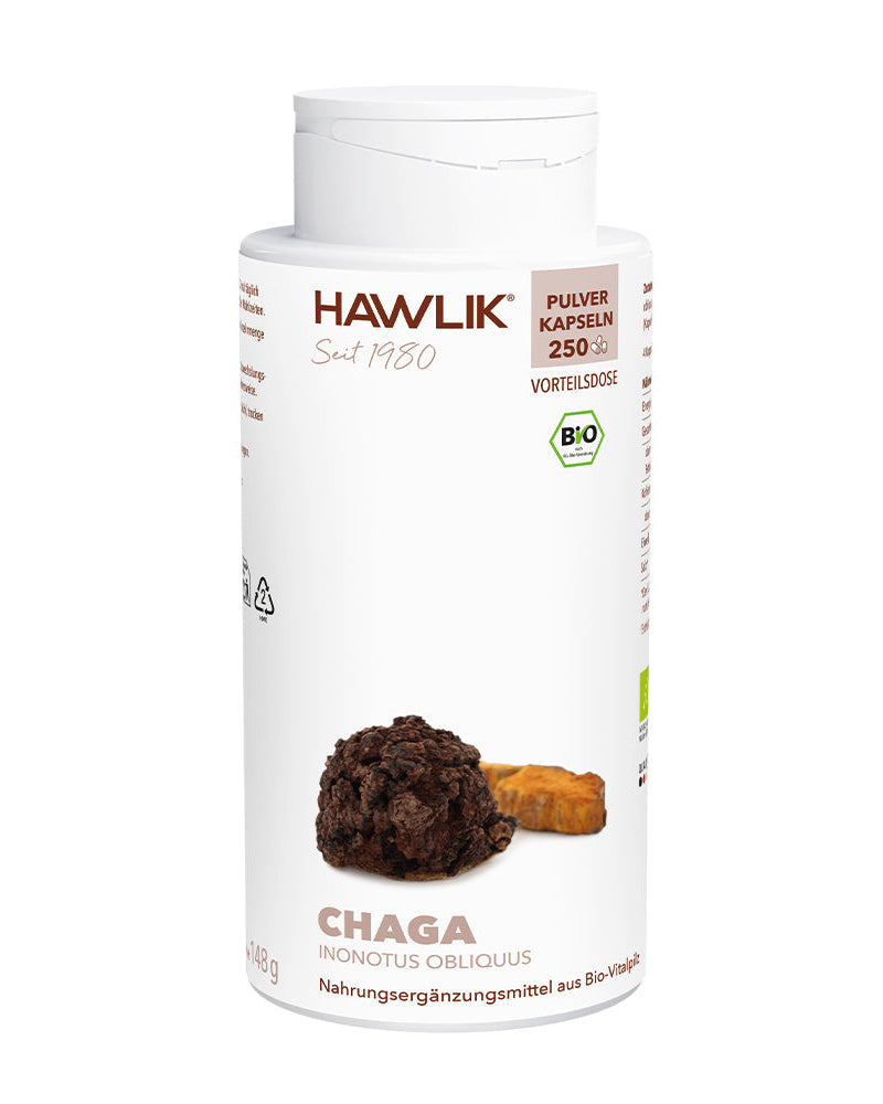 Gélules de poudre de Chaga BIO
