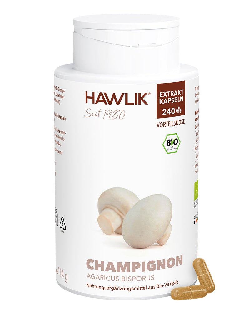 BIO Champignon Extrakt Kapseln