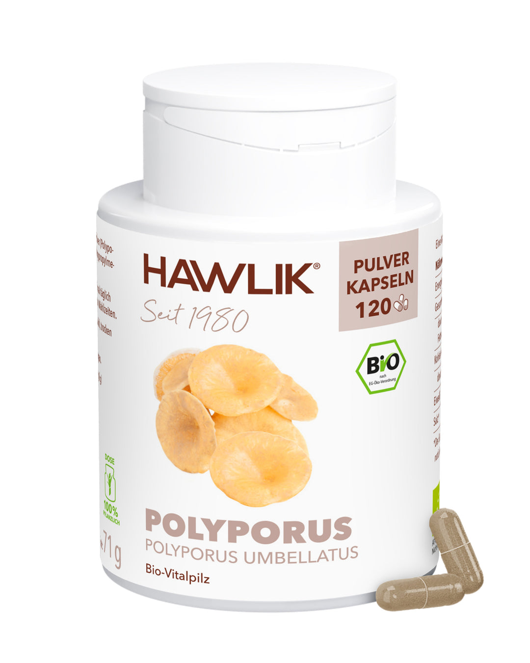 BIO Polyporus Pulver Kapseln