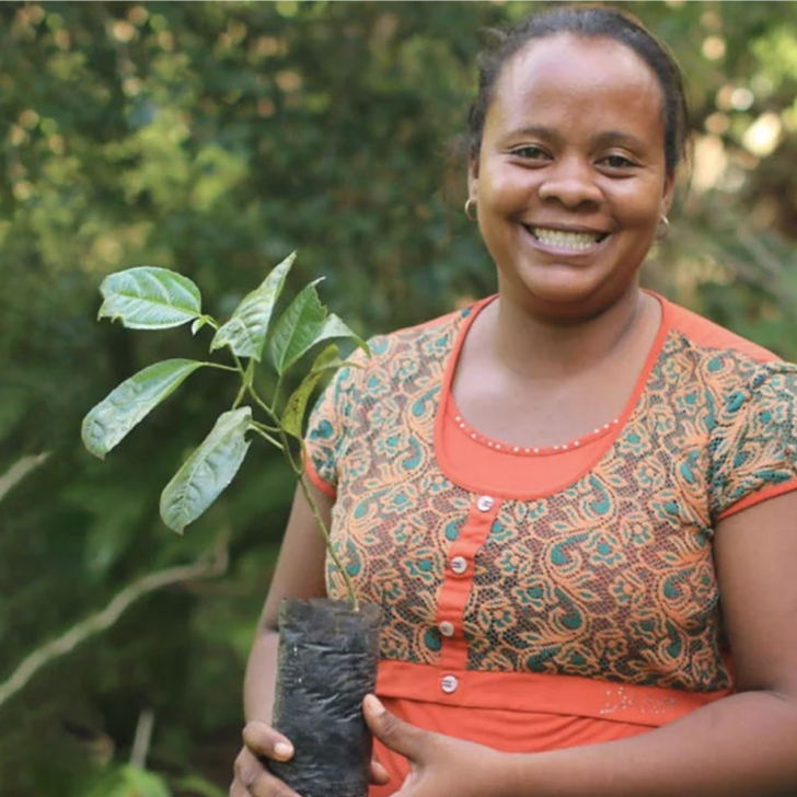 Eden Reforestation Projects