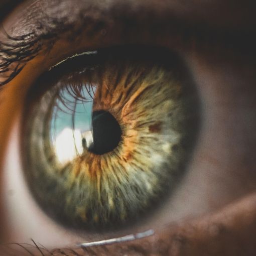 Augen im digitalen Alltag – häufige Fragen zu Nährstoffen für die Augen