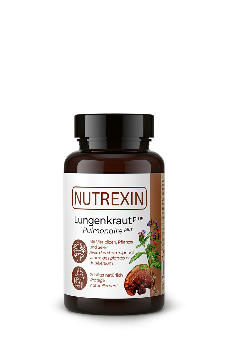 Lungenkraut plus
